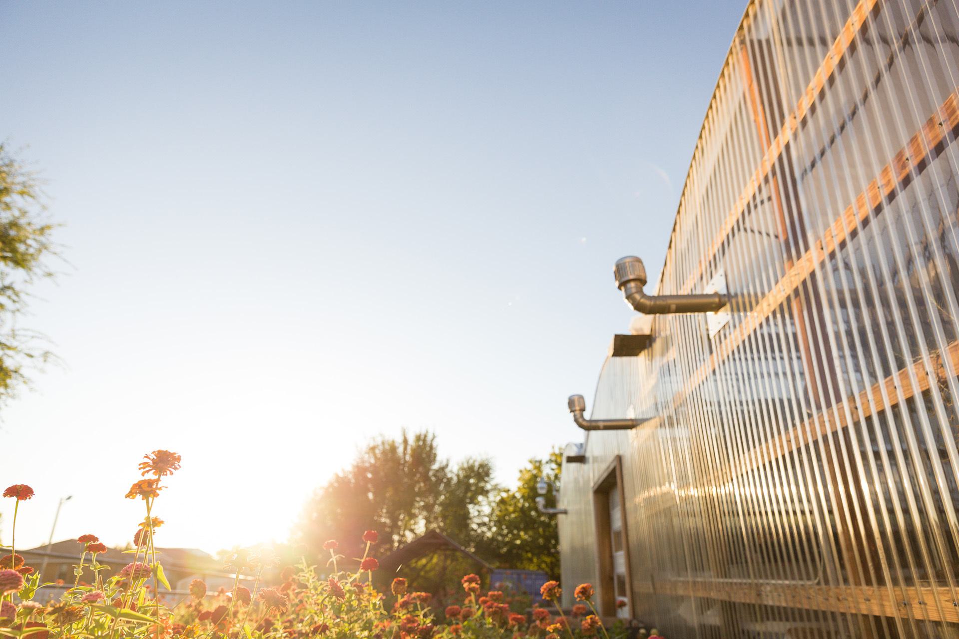 Greenhouse at Restore Farms